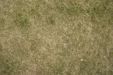 _DSC4776 Kopie.webp