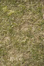 _DSC4777 Kopie.webp