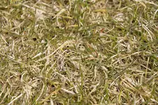 _DSC4779 Kopie.webp