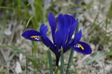 _DSC1278.webp