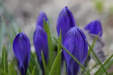 _DSC1285.webp