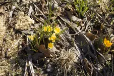 _DSC1219.webp