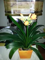 20130404_184712.webp