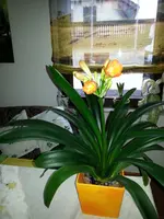 20130404_184739.webp