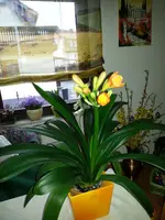 20130404_185115.webp
