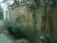 IMAG0981.webp