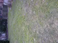 P1030992.webp