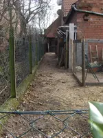 HPIM9241.webp