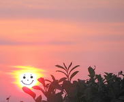 sonnenaufgang für Mo.webp