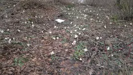 050420131451.webp