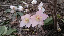 050420131452.webp