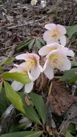 050420131453.webp