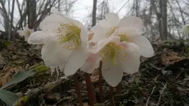 050420131457.webp