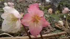 050420131460.webp