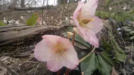 050420131461.webp