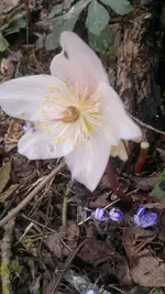 050420131462.webp