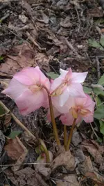050420131463.webp