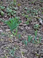 P1090566.webp