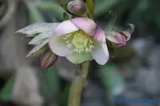 comp_DSC09122.webp
