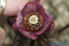 comp_DSC09285.webp
