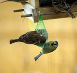comp_DSC02465.webp