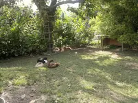 2012-07-18-571.webp