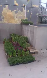 IMAG1268.webp IMAG1268.webp