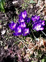 IMAG0296.webp