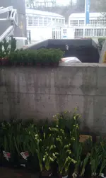 IMAG1269.webp IMAG1269.webp
