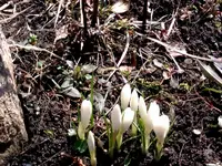IMAG0298.webp