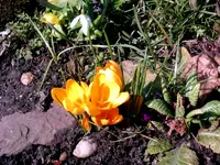 IMAG0297.webp