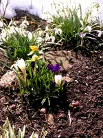 IMAG0304.webp