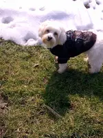 IMAG0300.webp