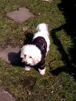IMAG0302.webp