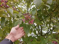 PA050080r.webp
