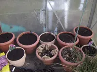 HPIM9273.webp