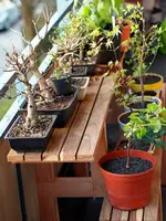 K1600_P4073138.webp