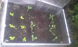 IMAG1287.webp