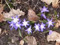 garten 2013 001.webp