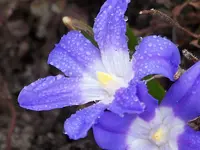 garten 2013 003.webp