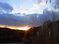 019.webp