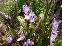 2013-04-07 13.11.56.webp