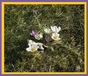 DSCF7257.webp