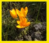 DSCF7245.webp