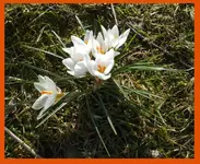 DSCF7246.webp