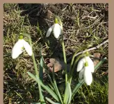 DSCF7258.webp