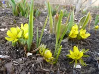 P1050180.webp