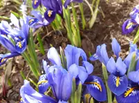 P1050170.webp