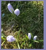 DSCF7247.webp