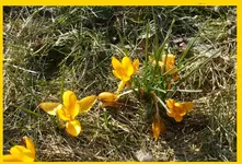 DSCF7252.webp